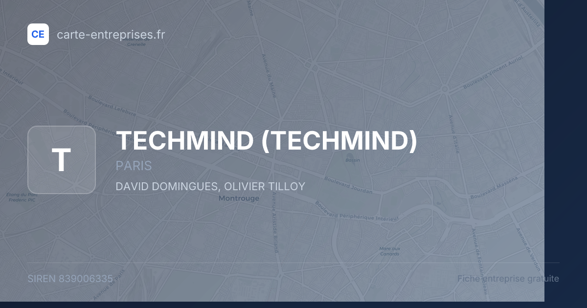 TECHMIND — 839006335 — fiche entreprise