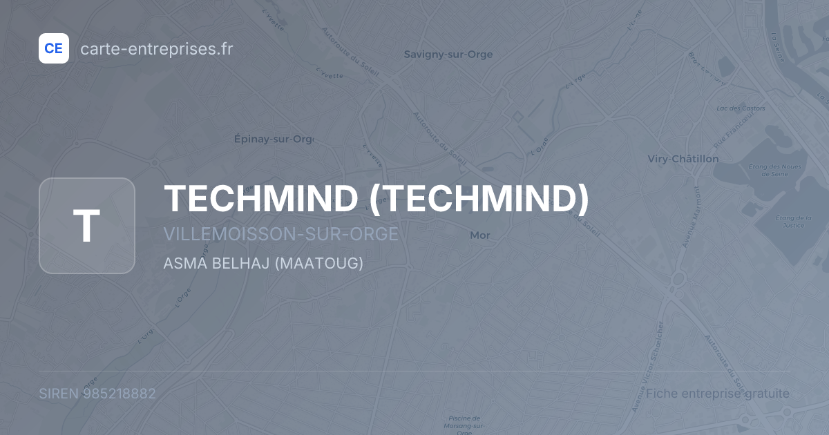 TECHMIND — 985218882 — fiche entreprise