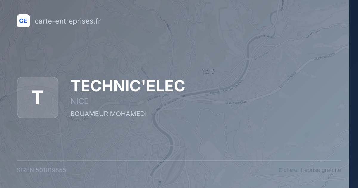TECHNIC'ELEC — 501019855 — fiche entreprise
