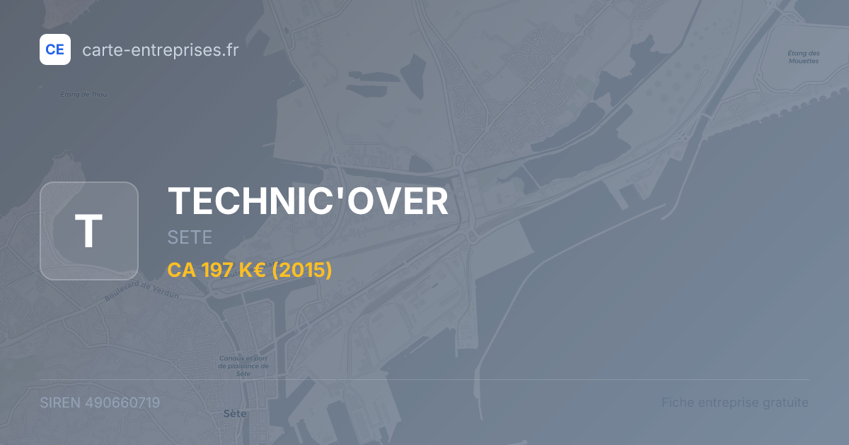 TECHNIC'OVER — 490660719 — fiche entreprise