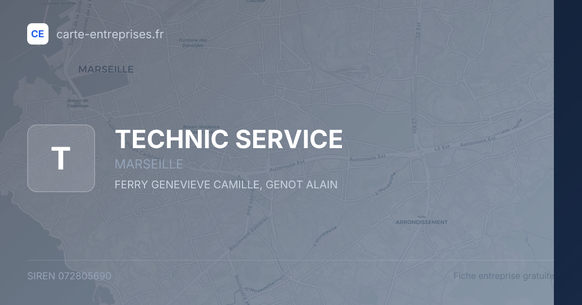 TECHNIC SERVICE — 072805690 — fiche entreprise