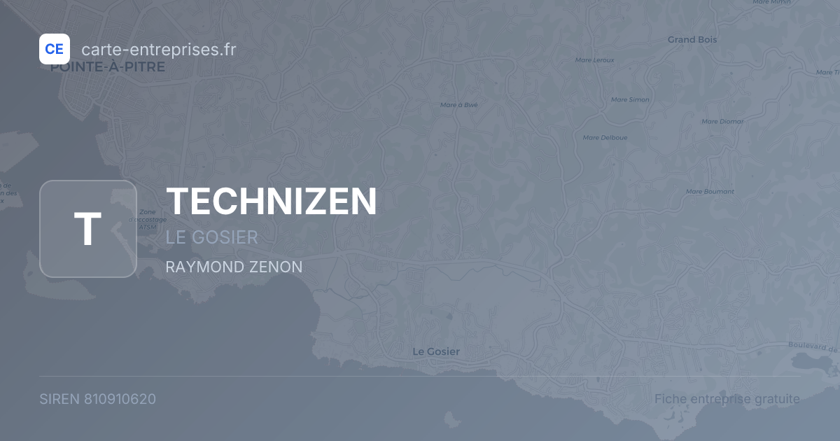 TECHNIZEN — 810910620 — fiche entreprise