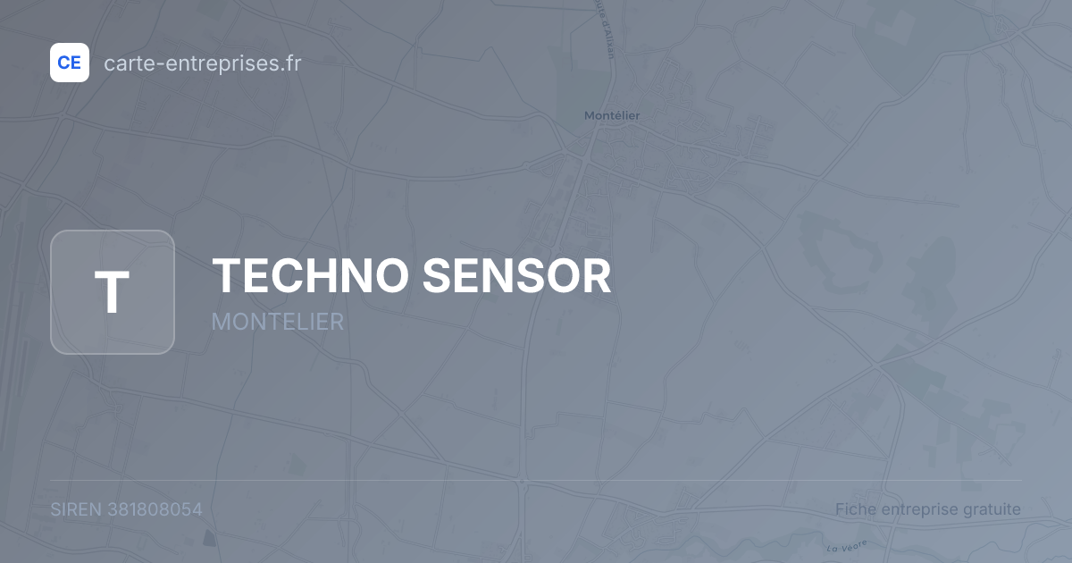 TECHNO SENSOR — 381808054 — fiche entreprise