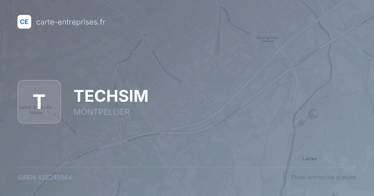 TECHSIM — 428245864 — fiche entreprise