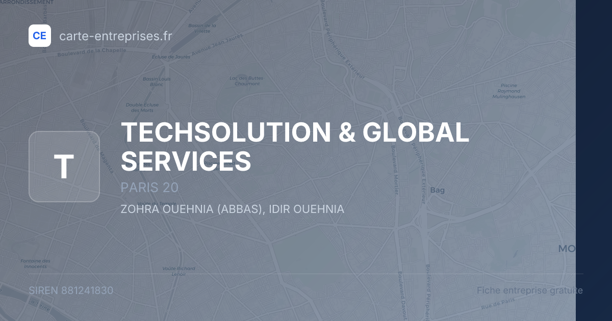 TECHSOLUTION & GLOBAL SERVICES — 881241830 — fiche entreprise