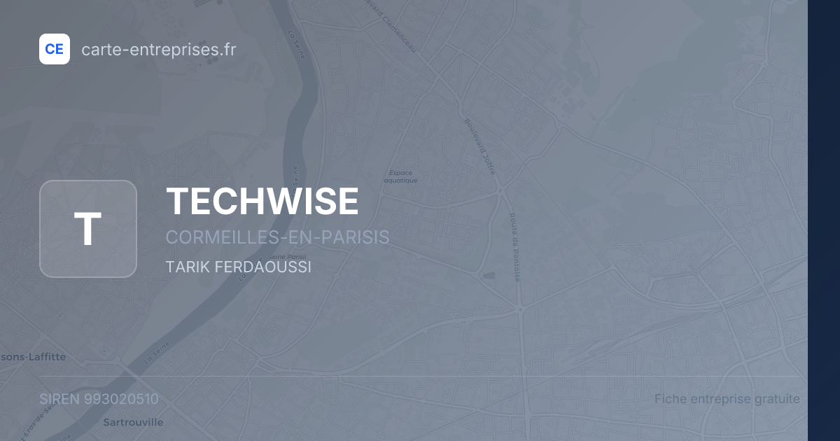 TECHWISE — 993020510 — fiche entreprise