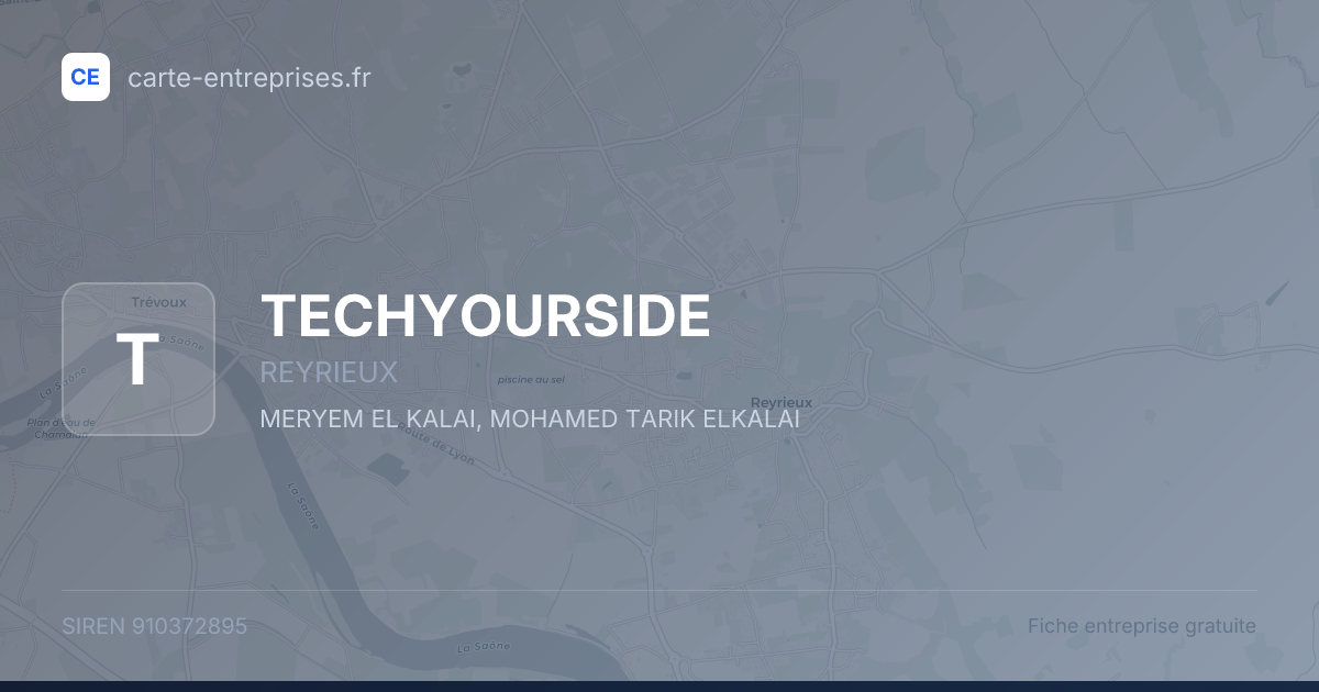 TECHYOURSIDE — 910372895 — fiche entreprise