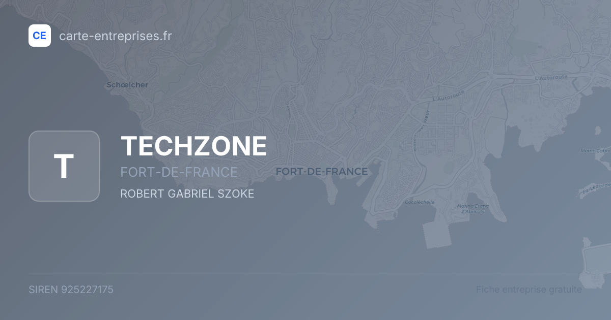 TECHZONE — 925227175 — fiche entreprise