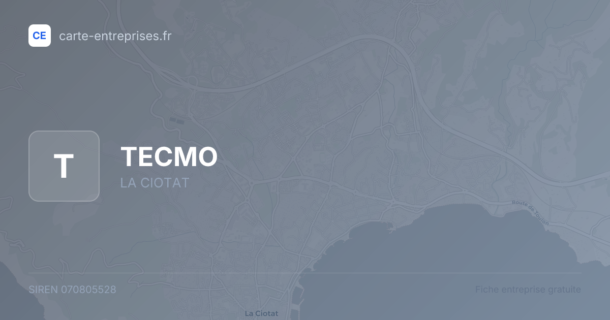 TECMO — 070805528 — fiche entreprise