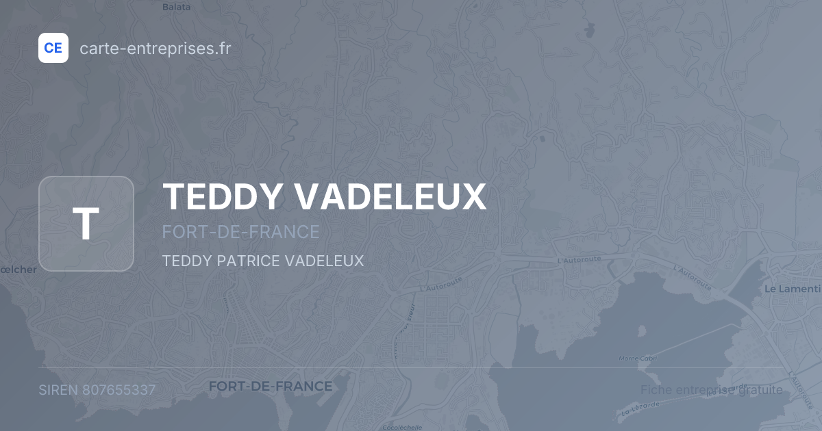 TEDDY VADELEUX — 807655337 — fiche entreprise