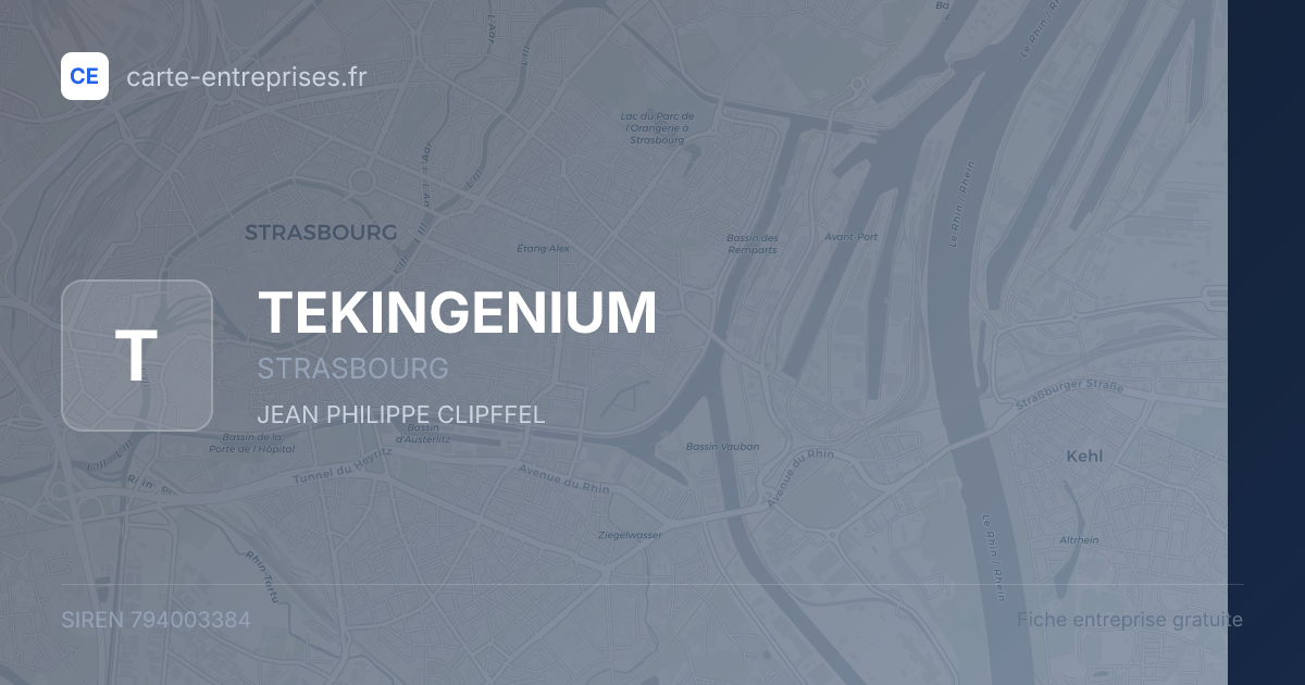 TEKINGENIUM — 794003384 — fiche entreprise