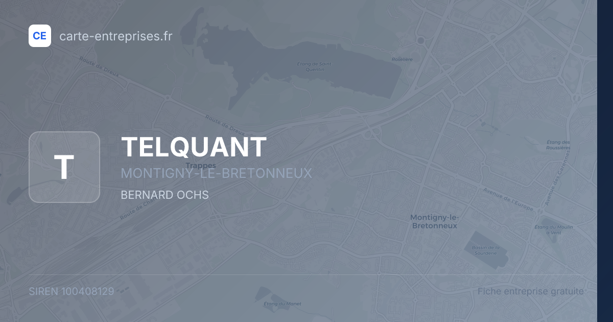 TELQUANT — 100408129 — fiche entreprise