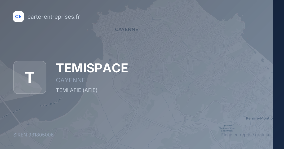 TEMISPACE — 931805006 — fiche entreprise