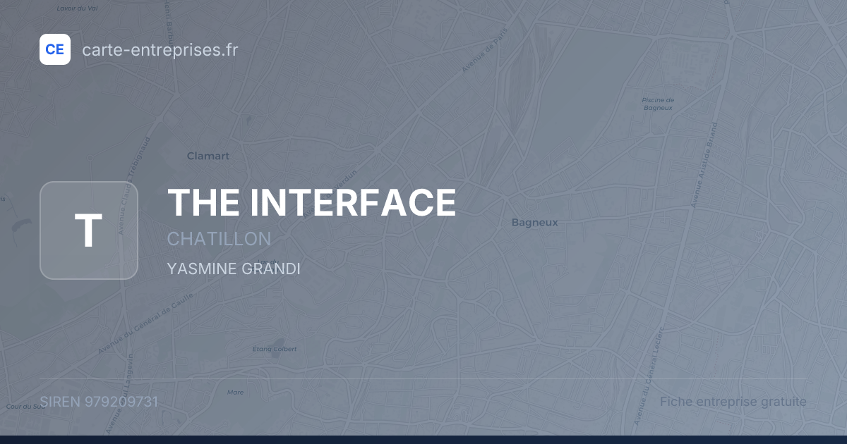 THE INTERFACE — 979209731 — fiche entreprise