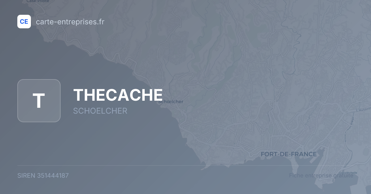 THECACHE — 351444187 — fiche entreprise