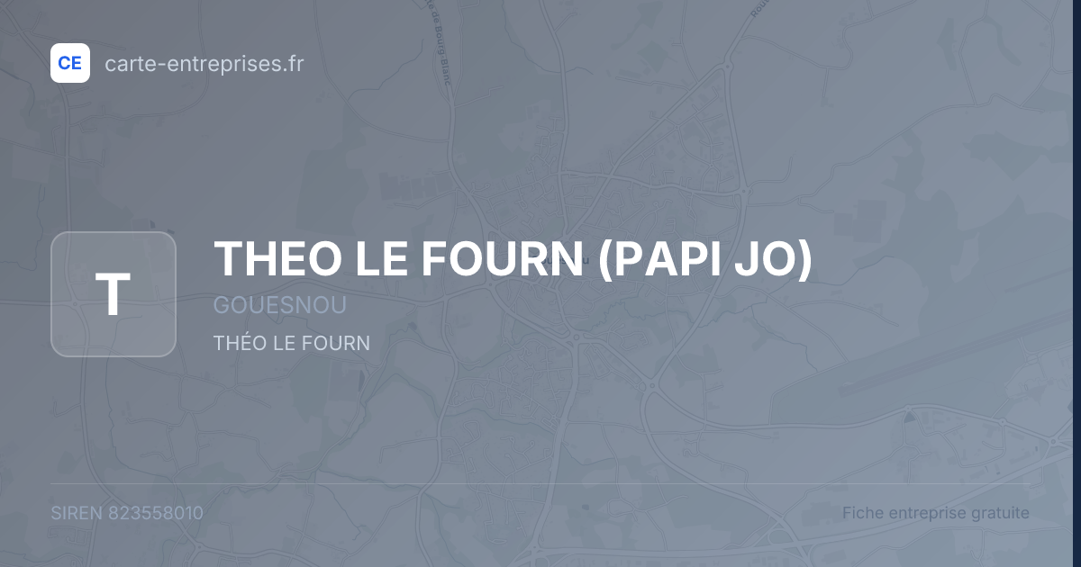 THEO LE FOURN (PAPI JO) — 823558010 — fiche entreprise