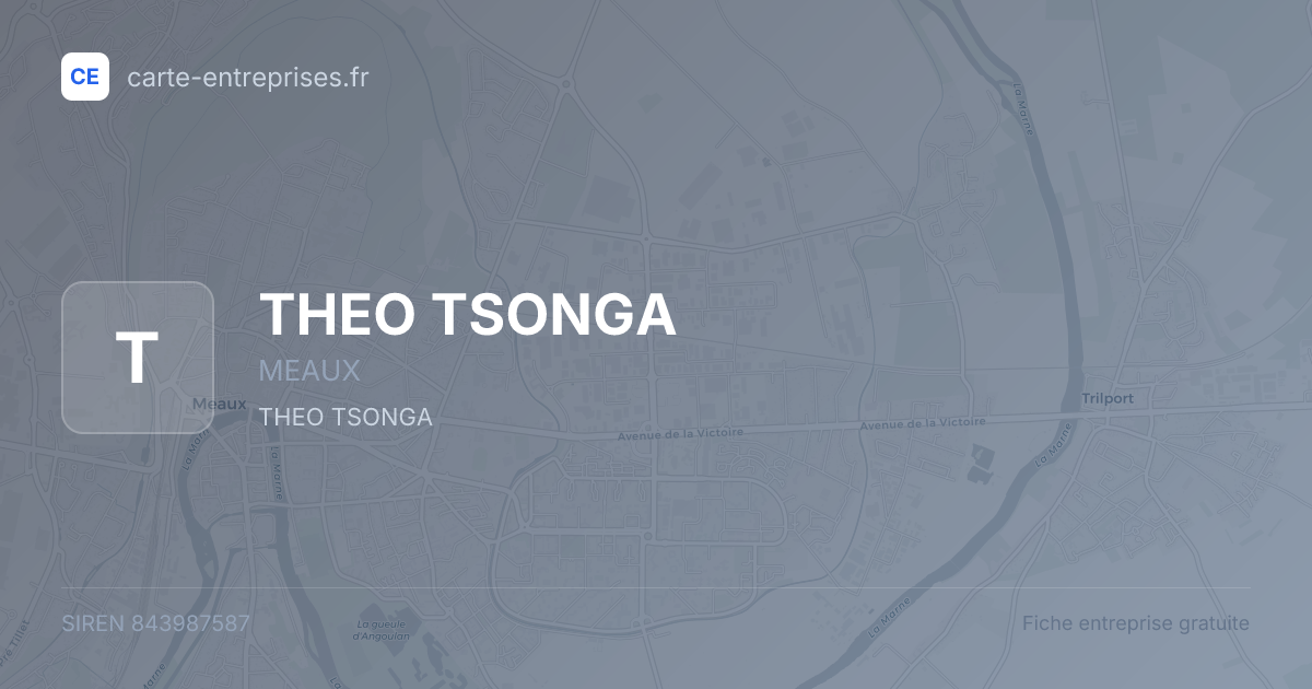 THEO TSONGA — 843987587 — fiche entreprise