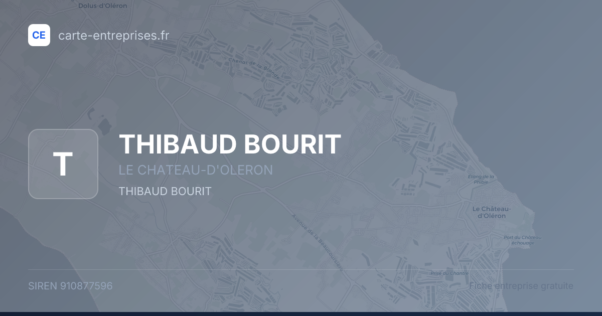 THIBAUD BOURIT — 910877596 — fiche entreprise