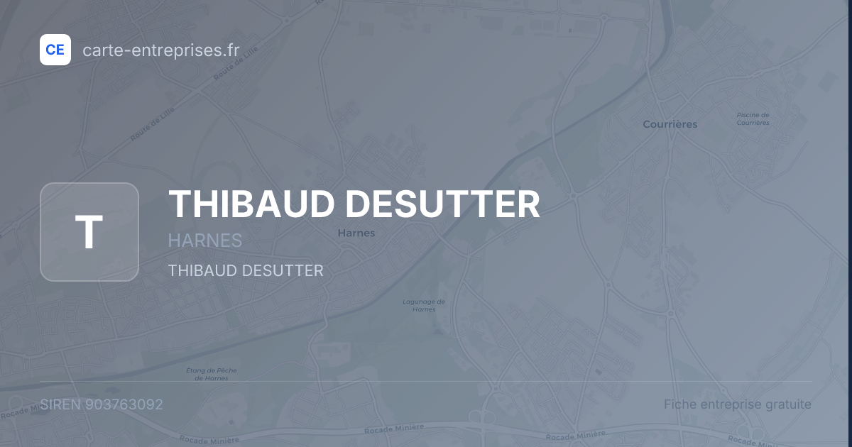 THIBAUD DESUTTER — 903763092 — fiche entreprise