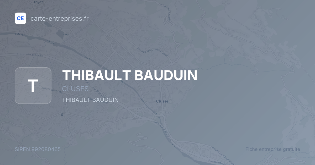 THIBAULT BAUDUIN — 992080465 — fiche entreprise