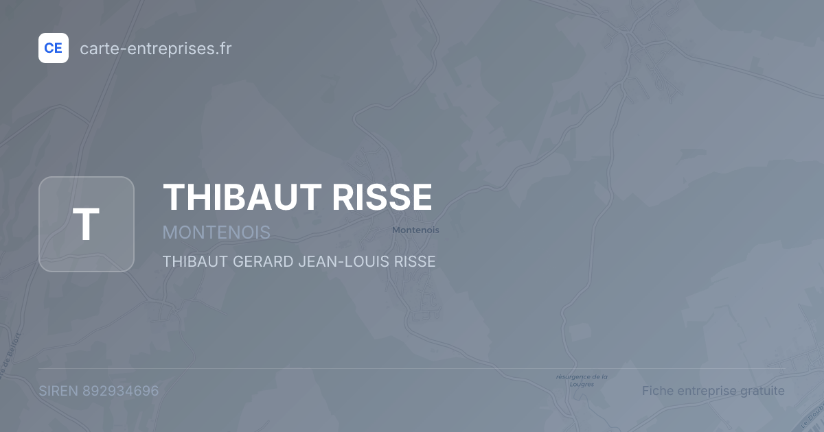 THIBAUT RISSE — 892934696 — fiche entreprise