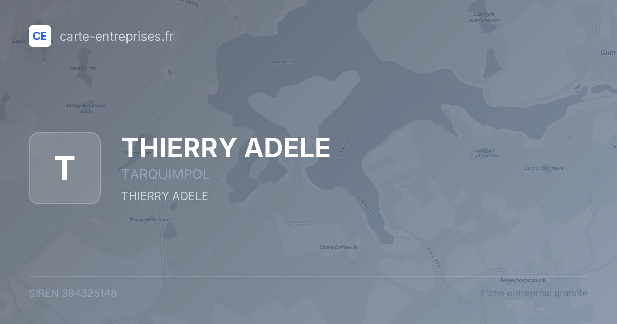 THIERRY ADELE — 384325148 — fiche entreprise