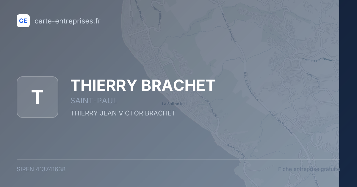 THIERRY BRACHET — 413741638 — fiche entreprise