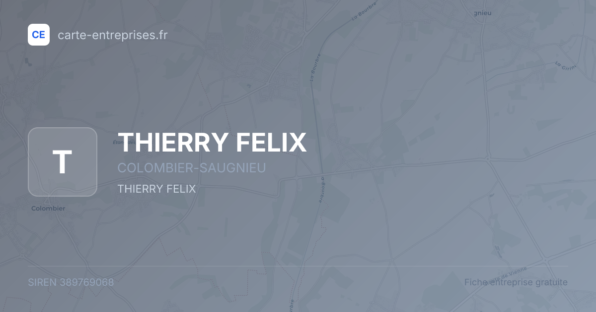 THIERRY FELIX — 389769068 — fiche entreprise