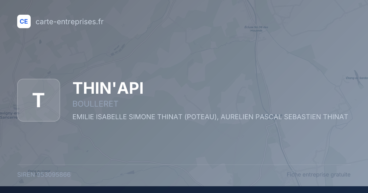 THIN'API — 953095866 — fiche entreprise