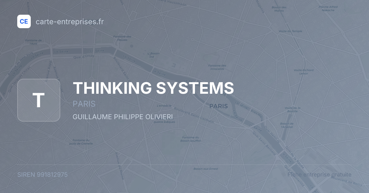 THINKING SYSTEMS — 991812975 — fiche entreprise