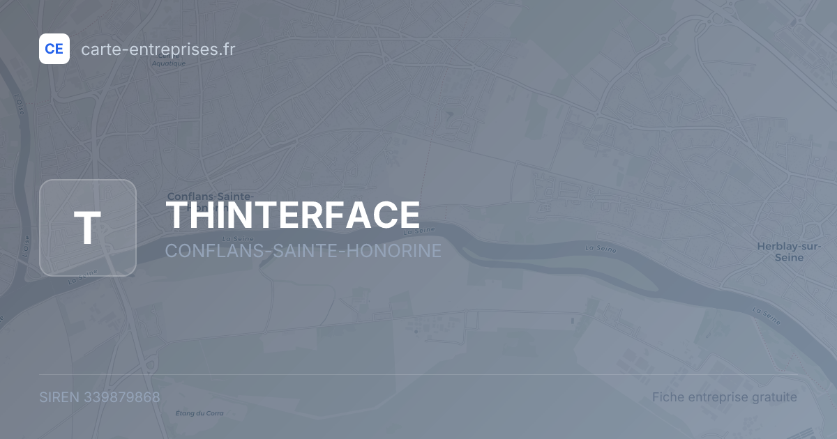 THINTERFACE — 339879868 — fiche entreprise