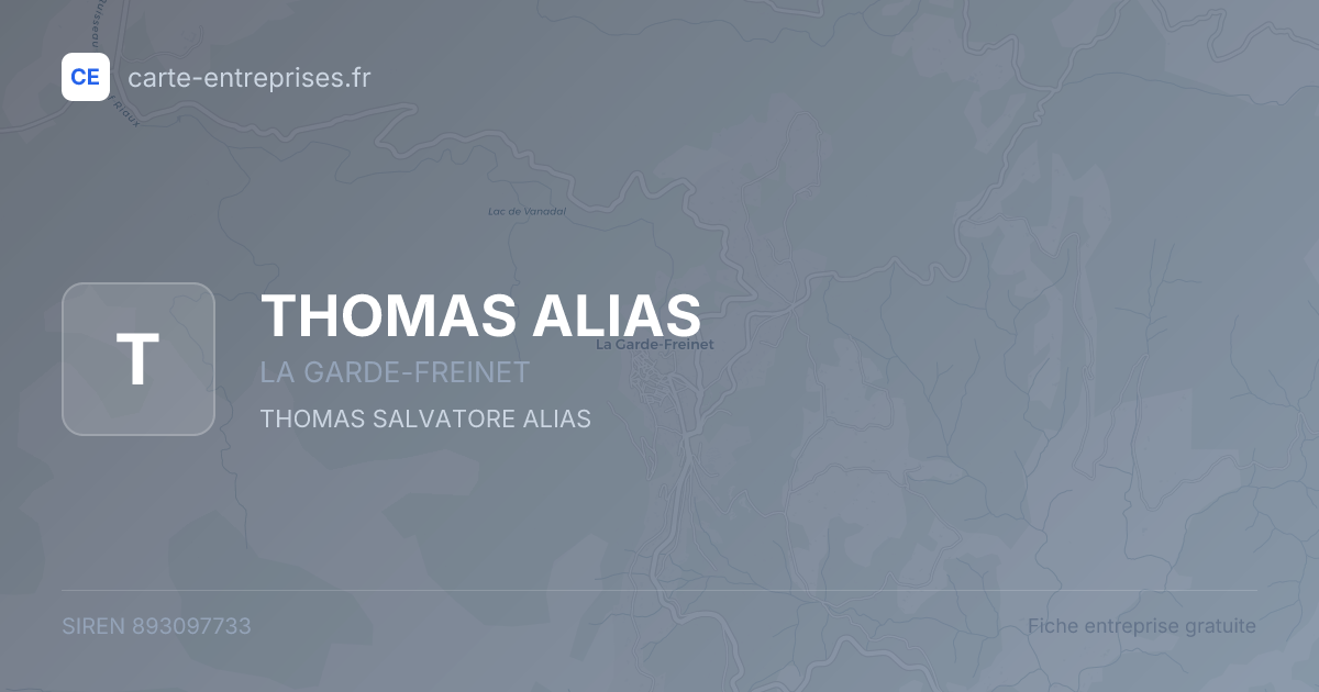 THOMAS ALIAS — 893097733 — fiche entreprise
