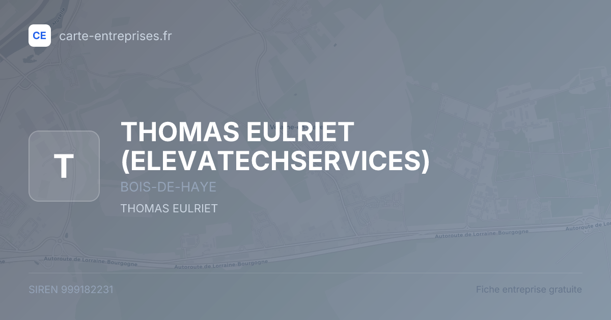 THOMAS EULRIET (ELEVATECHSERVICES) — 999182231 — fiche entreprise