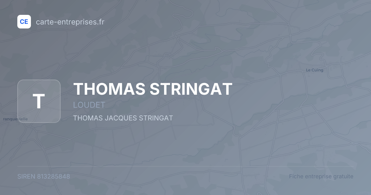 THOMAS STRINGAT — 813285848 — fiche entreprise