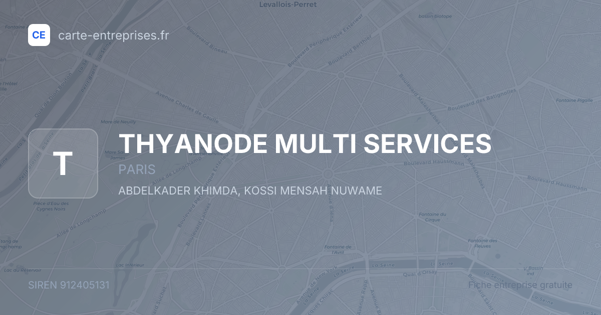 THYANODE MULTI SERVICES — 912405131 — fiche entreprise