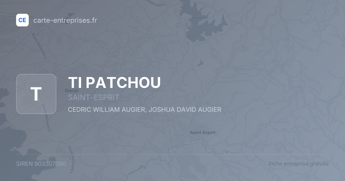 TI PATCHOU — 903307080 — fiche entreprise