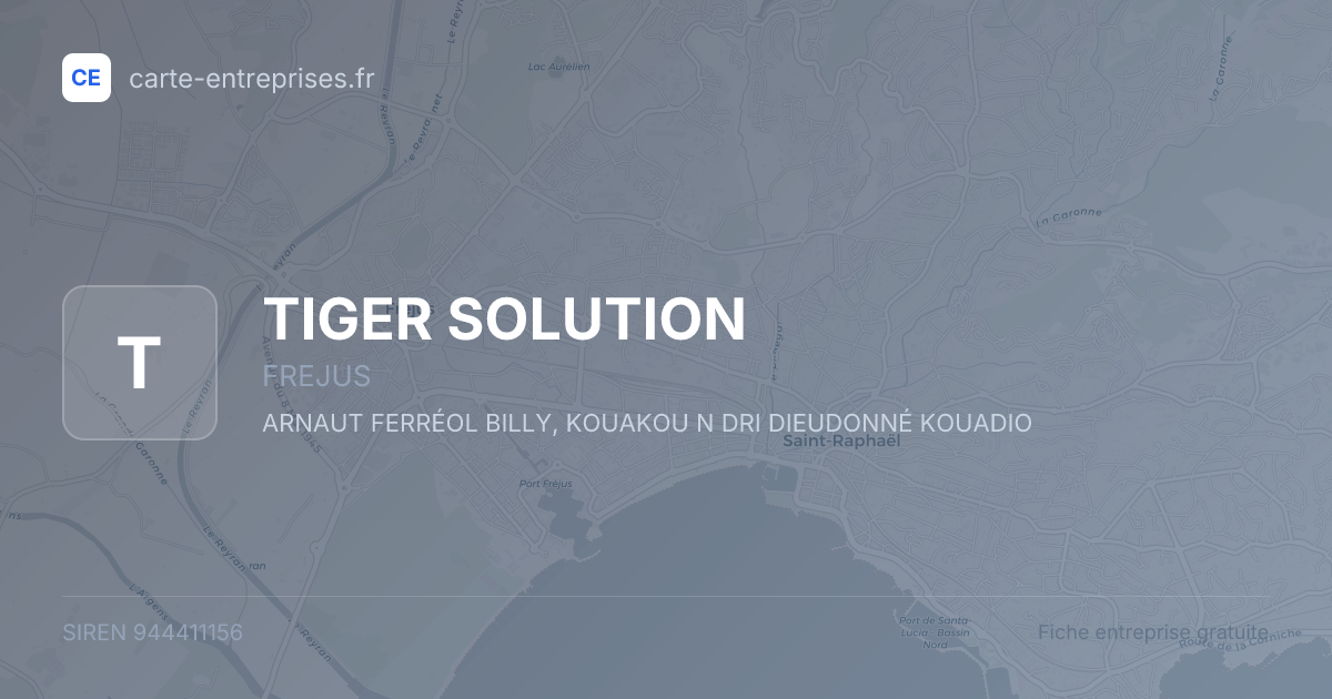 TIGER SOLUTION — 944411156 — fiche entreprise
