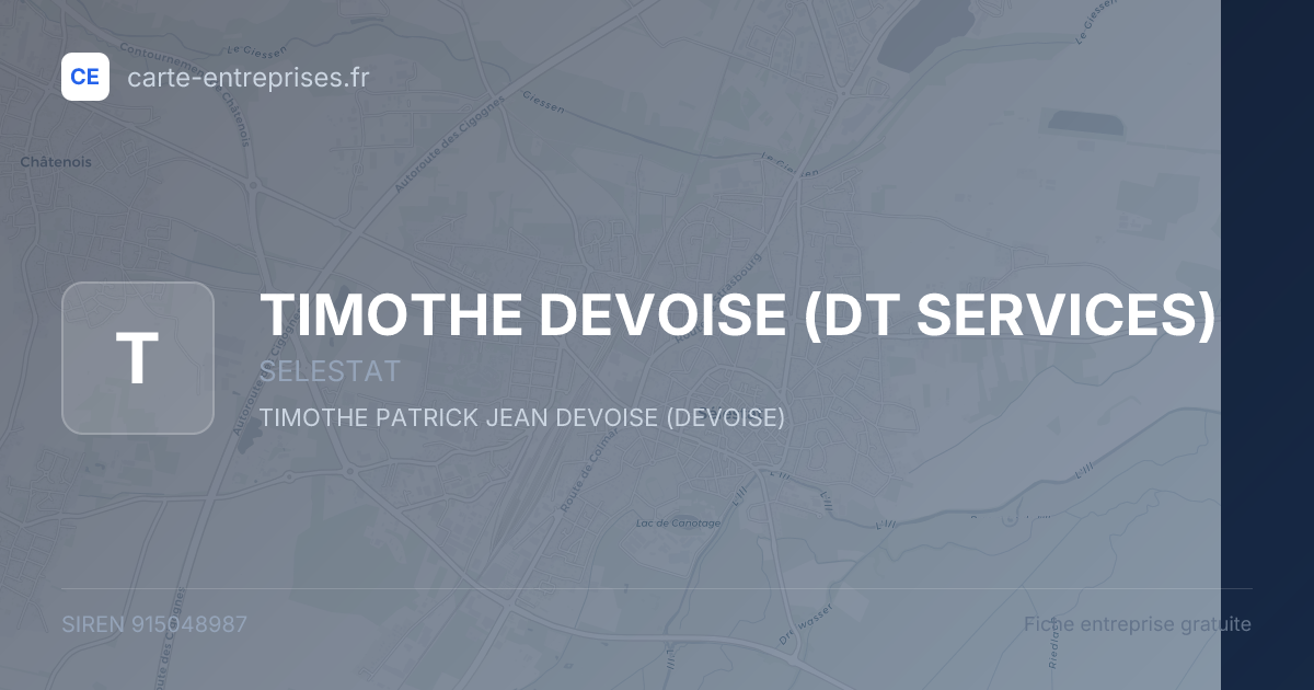 TIMOTHE DEVOISE (DT SERVICES) — 915048987 — fiche entreprise