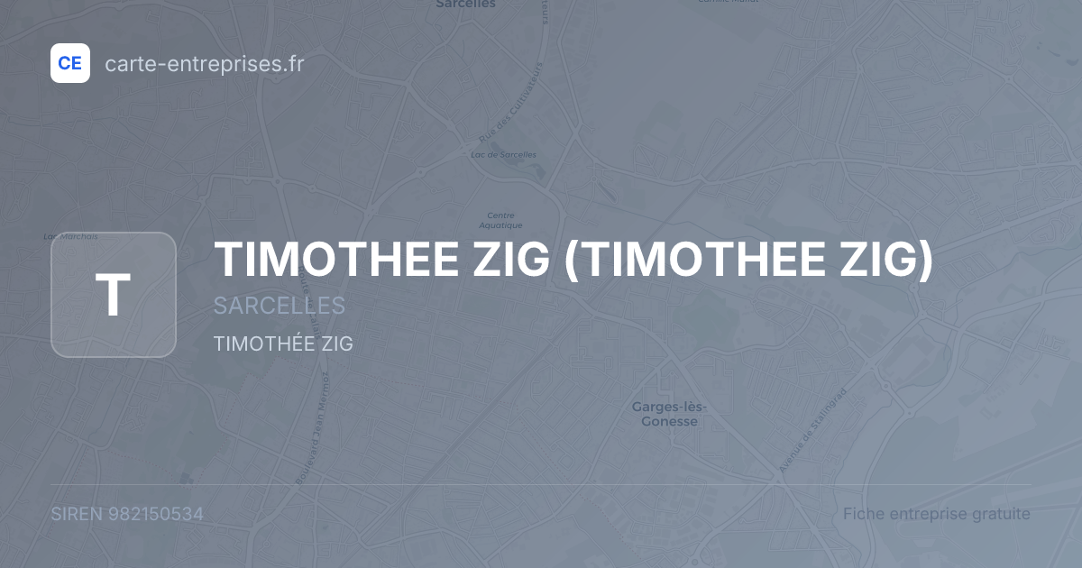 TIMOTHEE ZIG — 982150534 — fiche entreprise