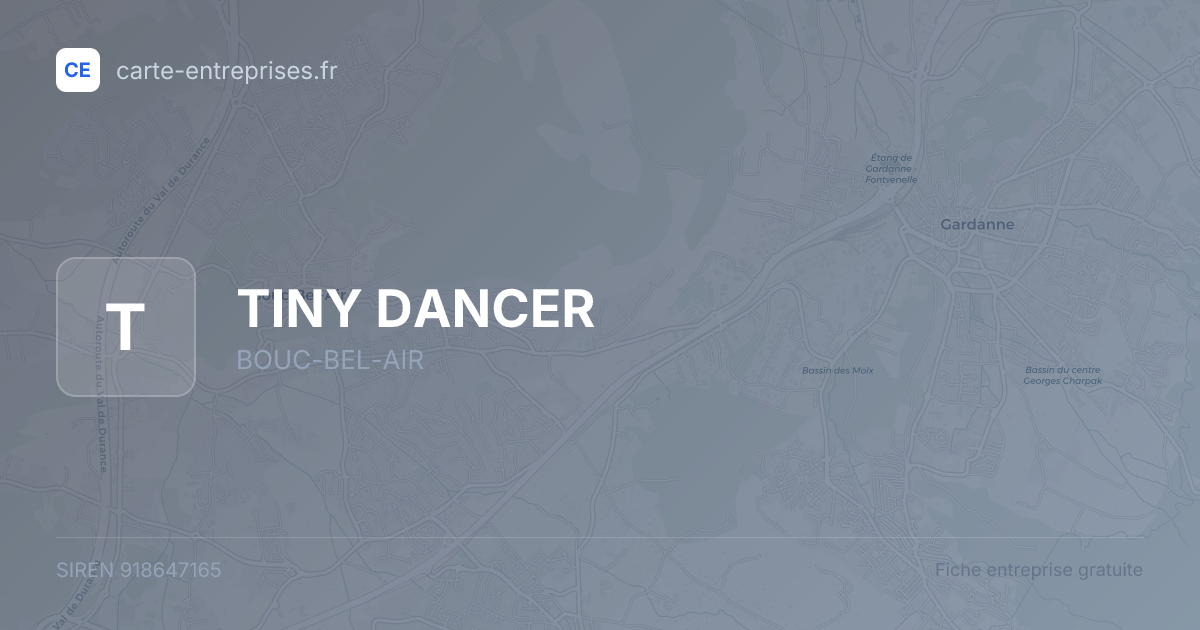 TINY DANCER — 918647165 — fiche entreprise