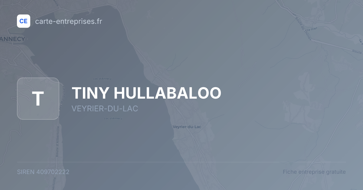 TINY HULLABALOO — 409702222 — fiche entreprise
