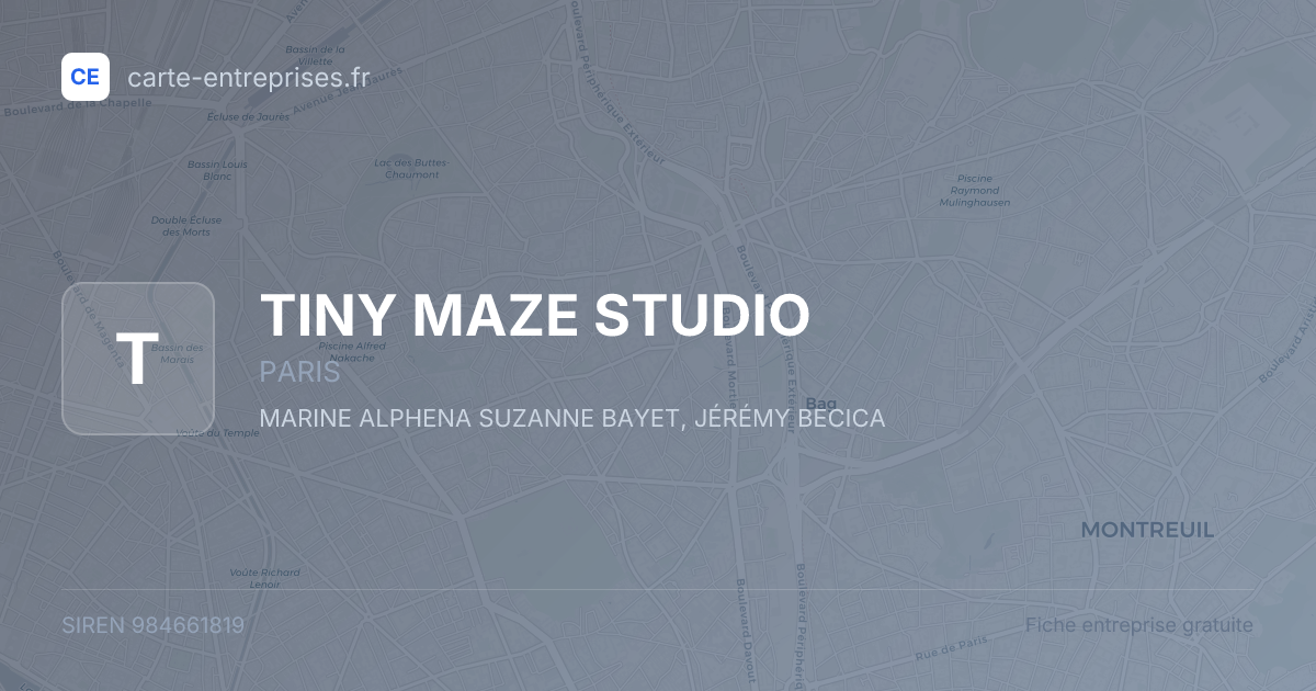 TINY MAZE STUDIO — 984661819 — fiche entreprise