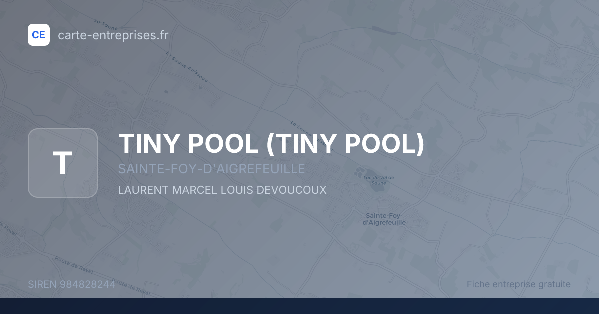 TINY POOL — 984828244 — fiche entreprise
