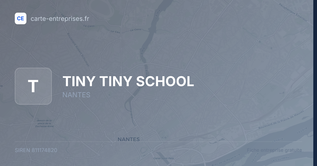 TINY TINY SCHOOL — 811174820 — fiche entreprise
