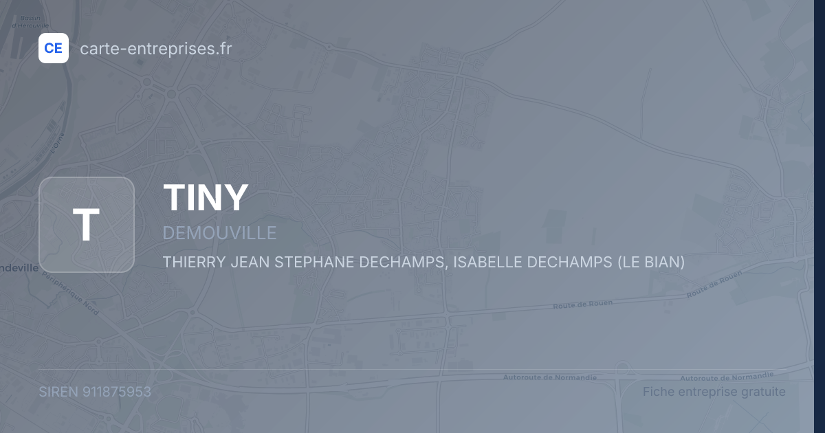 TINY — 911875953 — fiche entreprise