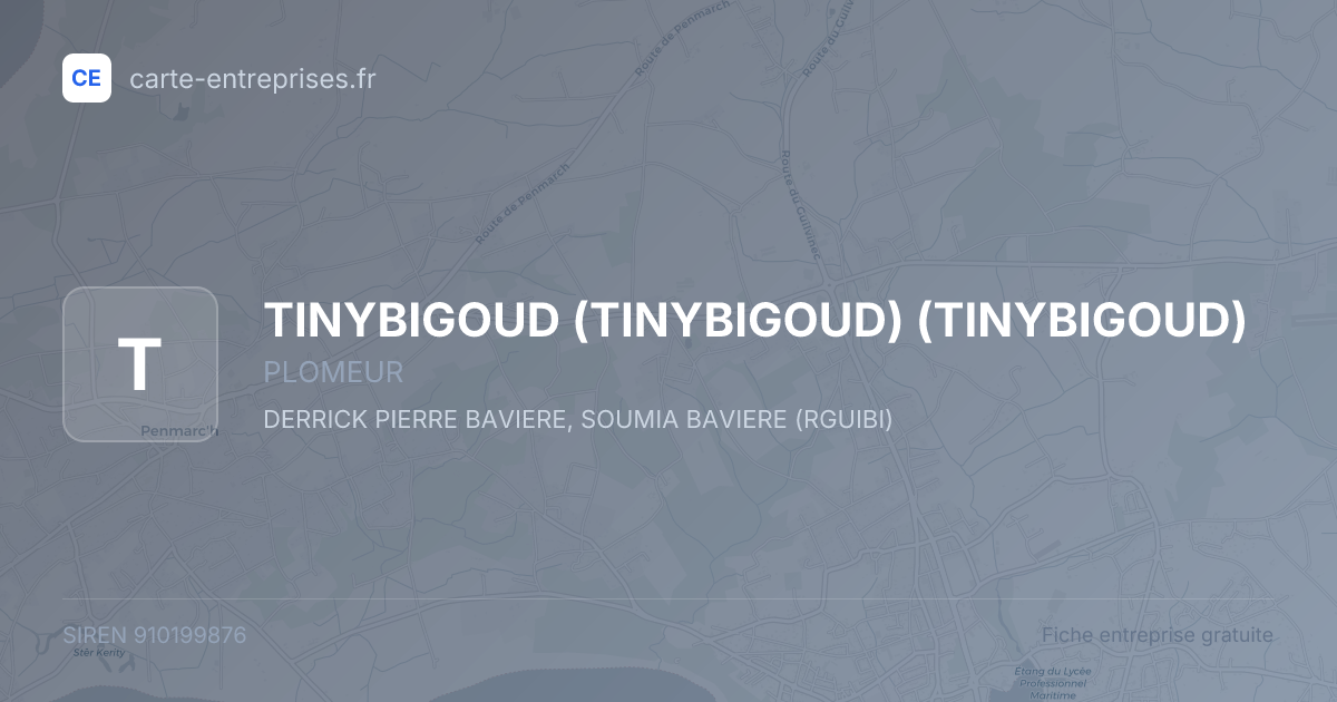 TINYBIGOUD (TINYBIGOUD) (TINYBIGOUD) — 910199876 — fiche entreprise