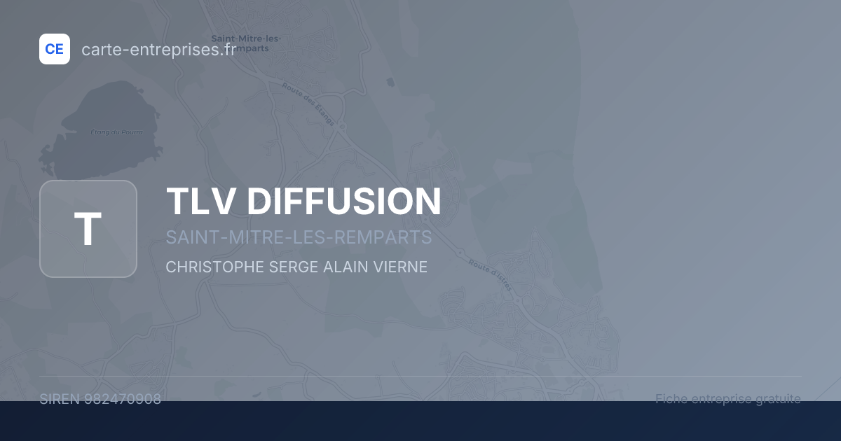 TLV DIFFUSION — 982470908 — fiche entreprise