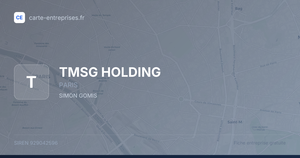 TMSG HOLDING — 929042596 — fiche entreprise