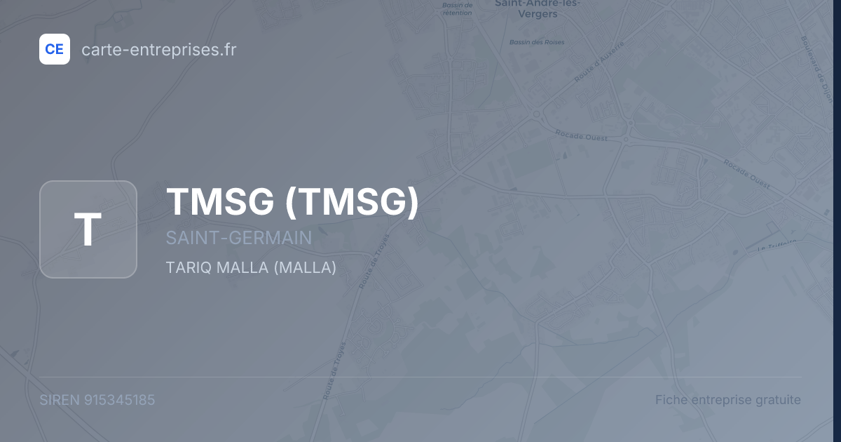 TMSG — 915345185 — fiche entreprise