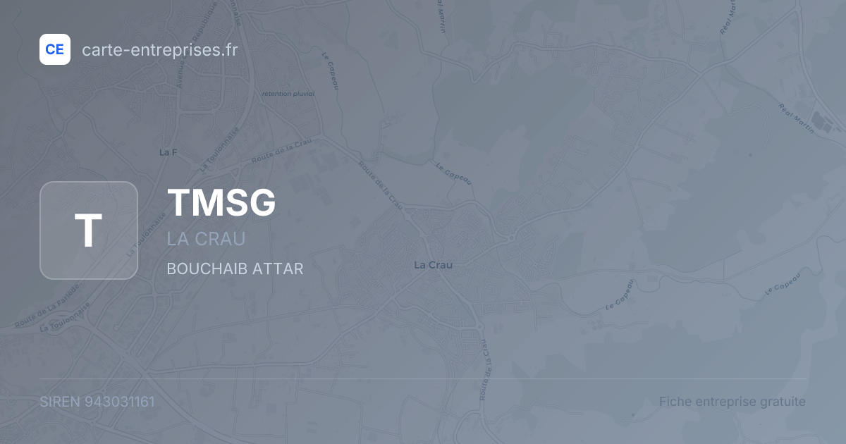TMSG — 943031161 — fiche entreprise